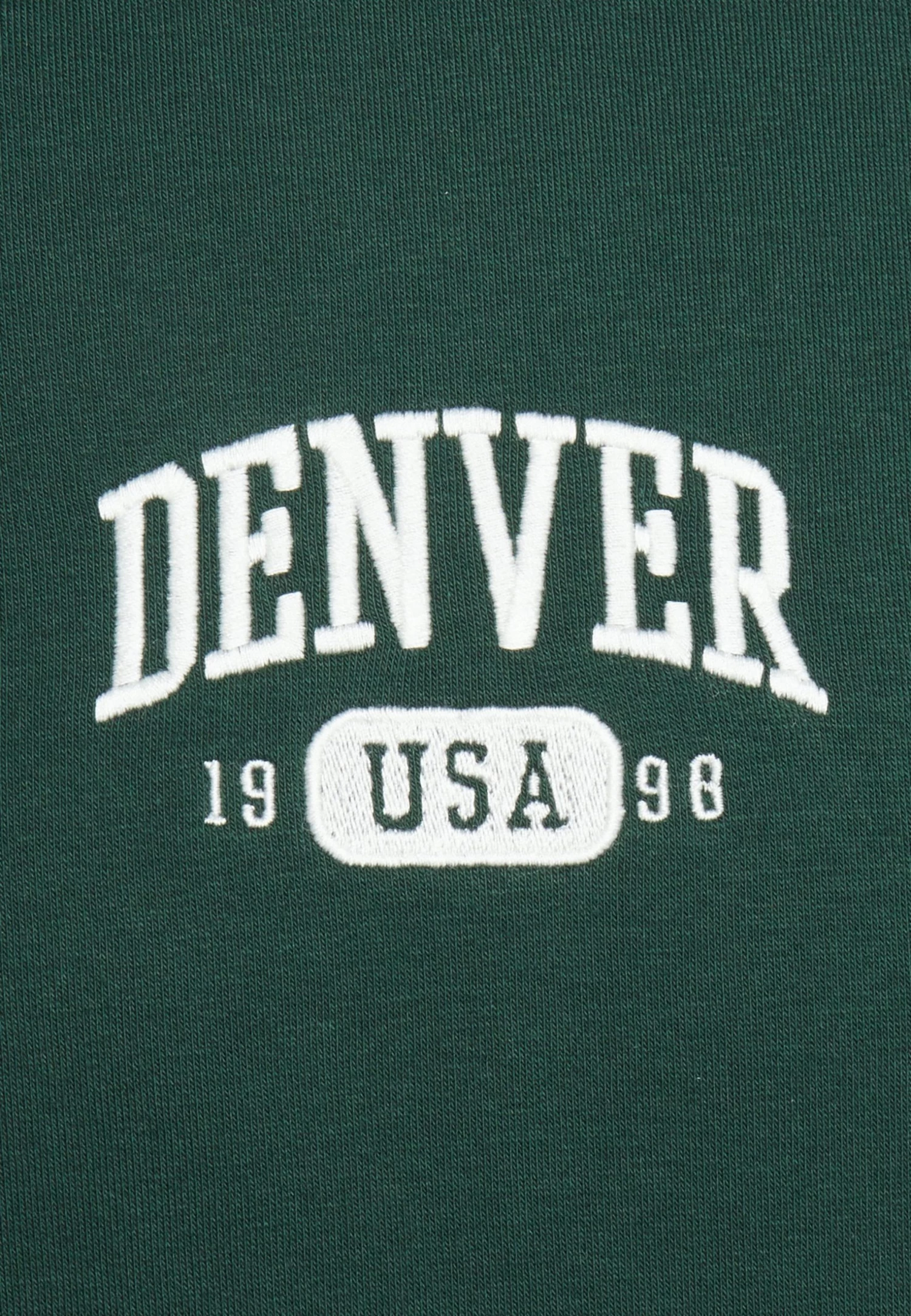Pier One Denver College Hoodie- Sudadera - Green 3 Pier One Denver College Hoodie- Sudadera - Green - Imagen 3